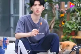 没有男明星躲得过身高内卷图片