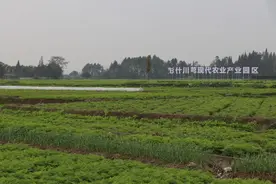 首批8个成德眉资精品交界地带示范点出炉图片