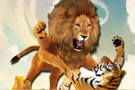 盘点历史上真实发生过的16次狮虎斗，老虎和狮子谁的胜率大？图片