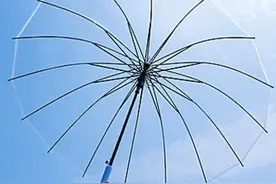 下雨撑着透明伞 若隐若现太美了图片