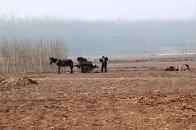 乡情散文：我当过“掌包的”图片