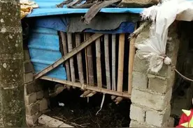 农民散养羊，羊圈的设计不仅仅是遮风避雨图片