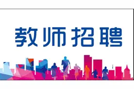 西咸新区沣东新城公开招聘522名公办学校教职工图片