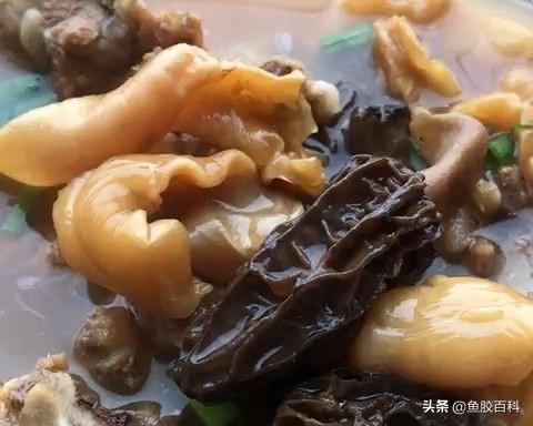 鸡爪花胶黄芪煲汤 鸡爪花胶黄芪煲汤怎么做