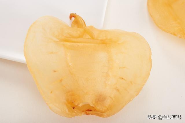 吃了花胶没变化 2026年吃花胶一段时间像换了个人