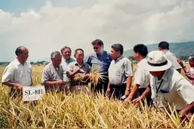 “他帮助养活了全球人民！”全世界都在为这位英雄的逝世深感悲痛图片