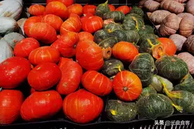 老南瓜挑大的还是小的？都错了，学会3看1颠1掐，南瓜香气扑鼻图片