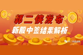 新纽科技中签结果分析，2021年上市第一股图片