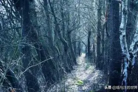 “黄泉路”是否存在？被封400年成国家一级禁区，位于四川瓦屋山图片