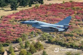 “争气机”歼-10的奋斗路：发动机实现国产 空战力克同代重型机图片