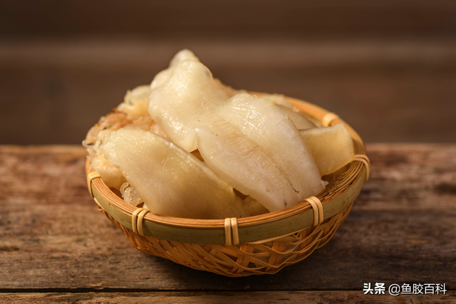 花胶百度百科 2026年花胶秒懂百科