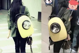 恕我直言，这款猫咪包真的可以扔掉了图片