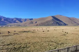 坐火车去拉萨会高反吗（四次进藏经验分享）图片