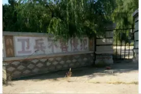 河南落寞的126厂，曾生产枪械辉煌一时，如今杂草丛生被人遗忘图片