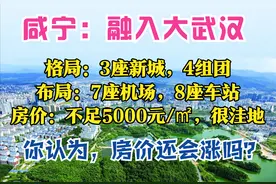 咸宁2035：人口340万，打造3座城，6条铁路，7座机场，房价跌1.3%图片