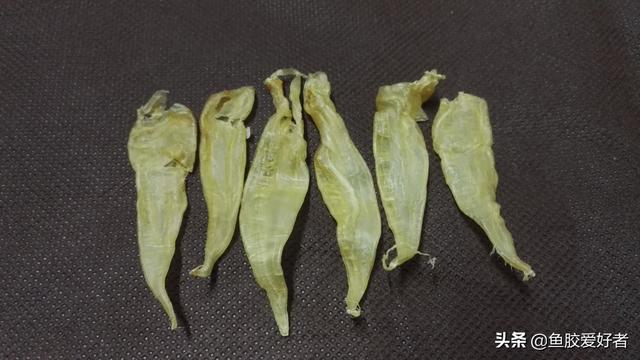 花胶公的价格多少 2026年花胶的价格一般多少钱一