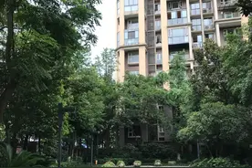 我的法拍房经历（三）图片