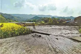 猪粪堆路边 粪水流进河，达川区大堰镇铁山村一养猪场严重污染环境图片