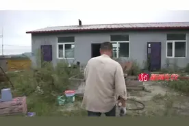 鹤岗 本想偷狗顶账，结果男子进错院子！偷了四只狗崽，价值好几万图片