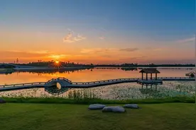 他们为长辈立传图片