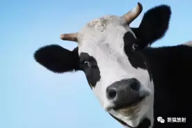 “牛眼征（靶征）”多见于胰癌肝转移及以下几种脏器病变图片