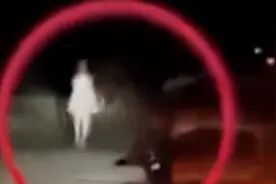 印度出现怪异人形生物！全身冒白光，直立行走不时跳跃图片