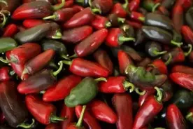 在长沙吃辣，就是痛并快乐着图片