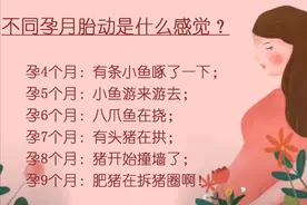 胎动是啥感觉？4个月像鱼啄，7个月像猪拱，9个月像肥猪拆猪圈图片