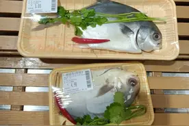 继菜市场后，北方朋友第一次逛南方超市，再次让他大开眼界图片