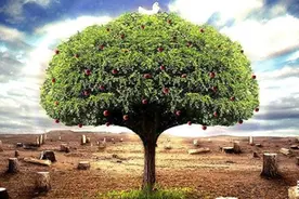 鼓励玩家在游戏里种树？这些游戏在宣传环保上另辟蹊径图片