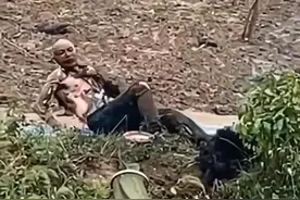 江苏连续发生钓鱼触碰高压电，不幸触电，野钓这几种渔具要当心图片