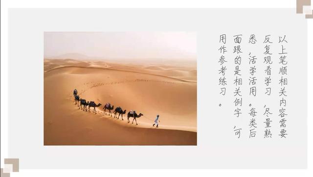 遵照笔顺的规范，写出漂亮美观的汉字