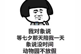 表情包：我对象说，等七夕那天陪我一天，象说没时间动物园不放假图片