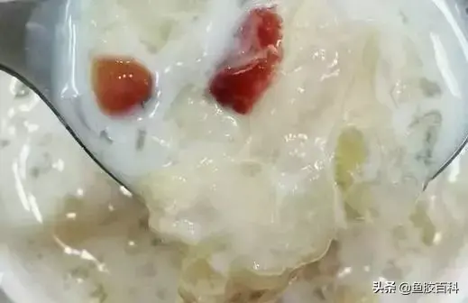 玉米粉 花胶鸡汤 2026年玉米花胶羹