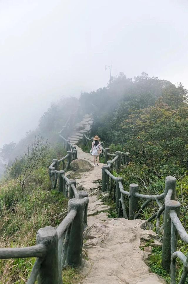 深圳值得征服的10座山，你去过几座？