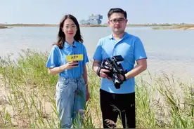 东营黄河入海口：打造大江大河三角洲生态文明建设样板图片