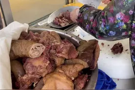 河南霸气老板娘，用大货车从内蒙进驴，一天卖两三头，毛利5万元图片