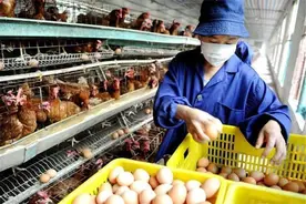 55岁的人负债一百多万，想回农村搞养殖，养什么可以翻身呢？图片