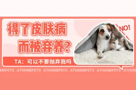 得了皮肤病就弃养？猫癣狗癣真的有那么缠人吗？图片