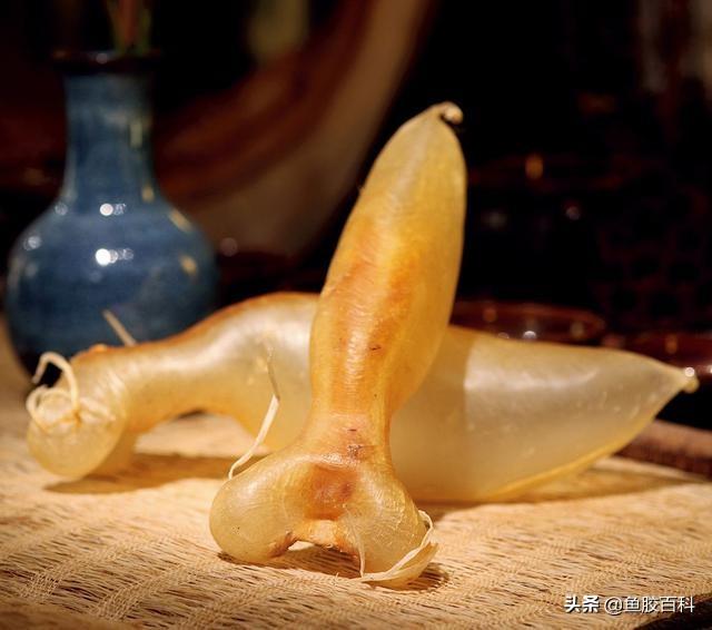 花胶需放冰箱吗 2026年花胶需放冰箱吗怎么保存 花胶需放冰箱吗 2026年花胶需放冰箱吗怎么保存