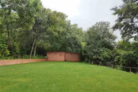 林中民宿、草地婚礼，质朴原始与现代轻奢的融合，在昆明美早庄园图片