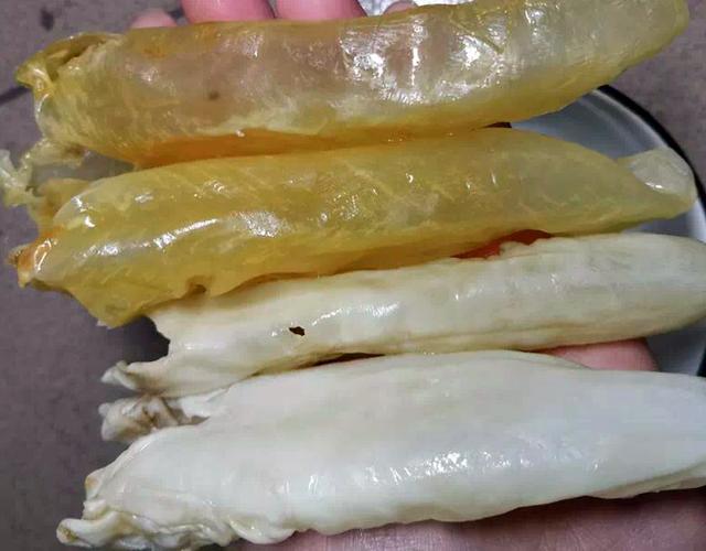 冷冻花胶与干花胶的区别 冷冻花胶与干花胶的区别图片 冷冻花胶与干花胶的区别 冷冻花胶与干花胶的区别图片