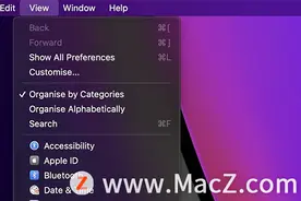 如何在 macOS 系统偏好设置中隐藏图标？图片
