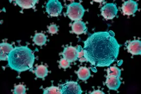 梅毒正史与野史：梅毒之花是怎样在全世界盛开的？图片