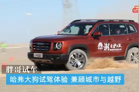 哈弗大狗试驾体验 兼顾城市与越野图片