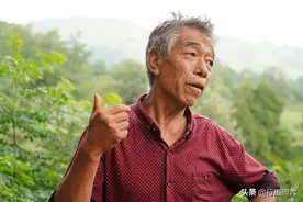 山西农村哥哥把弟弟当孩子养，管吃管喝1年分给8只羊，啥情况图片