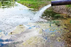 微山湖的死穴：两次干旱成灾，边界模糊反成“纳污池”，如何破局图片