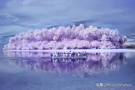 透过色盲者的眼睛，我们分明看到了一个更艺术化，更纯净的世界图片