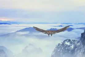 “北大诗句引用惹群嘲”的背后，是文化自信的缺失吗？图片