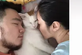 宋丹丹儿子巴图晒娃，3岁儿子高到妈妈大腿，黑发浓密体型太像爸图片